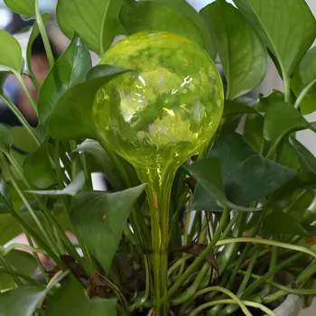 Nyhed Glas Kupler Blomst Bonsai Automatisk Vanding Enhed Kunstvanding Værktøjer