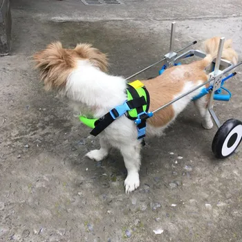 Pawstrip Hund Kørestol Bagbenene Assistent Hund Vogn Rehabilitering Justerbar Dog Walker XXS/XS