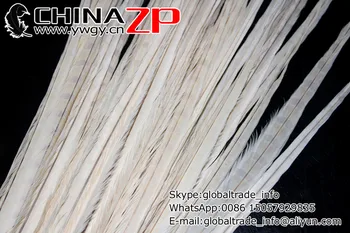 Producent i CHINAZP Fabrik 100pcs/lot 20-22inch(50-55cm) Længde Beige Farvet Ringneck Fasan Hale Fjer