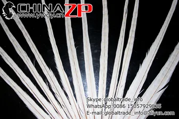 Producent i CHINAZP Fabrik 100pcs/lot 20-22inch(50-55cm) Længde Beige Farvet Ringneck Fasan Hale Fjer