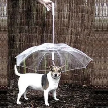 Puppy Pet-Paraply Pet Supplies Tør Komfortable Hvalp Hund Udsmykning Til Udendørs Regn Rejse Vandring Regner, Sner produkter