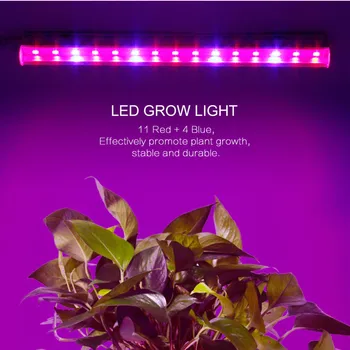 RAYWAY LED vækst Lys indendørs beplantning Hydroponiske supplerende belysning til planter fulde spektrum vegetabilske vokse lys rør 5730
