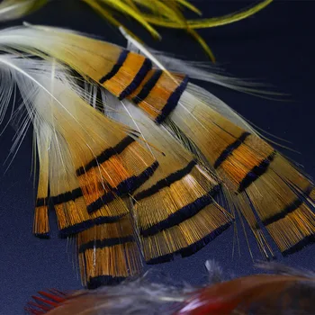 Royal Sissi hot 60pcs naturlige gyldne fasan hoved crest &rump krop fjer diverse vinger& hale primære materialer fluefiskeri