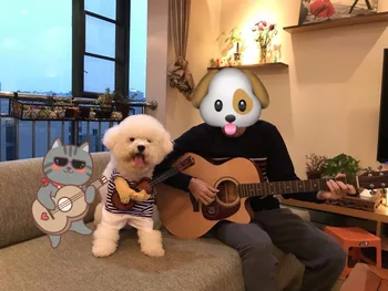 Sjove Pet Guitar Spiller Cosplay Hund Kostume Guitarist Dressing Op Xmas Party Halloween Nye År Tøj for Hunde-og Katte Plus Paryk