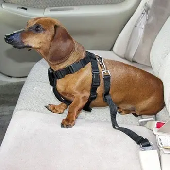 Sort til Bilen Auto Sæde Sikkerhed Sikker Bælte Sikkerhedsselen Udnytte Tilbageholdenhed Spænde Rejse til Hund, Kat