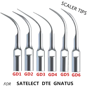 Tandpleje 6 scaler tips og en Ultralyd Dental Scaler Håndstykket er Kompatibel Med SATELEC/ DTE/GNATUS Dental Materiale