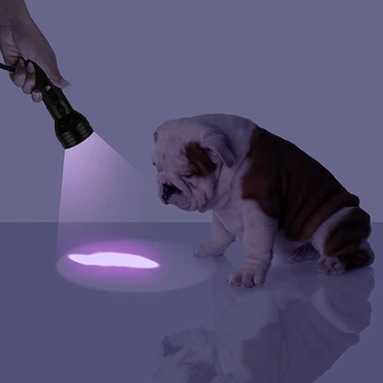 Uv-Led Lommelygte 51 Lysdioder 395nm Ultra Violet Torch Light Lampe Blacklight Detektor for Hunden Urin Pet Pletter og Bed Bug