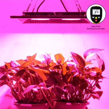Vandtæt IP67 COB Led vækst Lys Fulde Spektrum 200W Ultra-Tynde LED Voksende Lampe til Grøntsager Blomstre Indendørs Udendørs Anlæg
