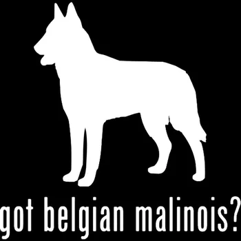 YJZT 15*15CM Fik Belgiske Malinois Hyrdehund Bil Vindue Vinyl Decal Vandtæt Bil Sticket C2-3006