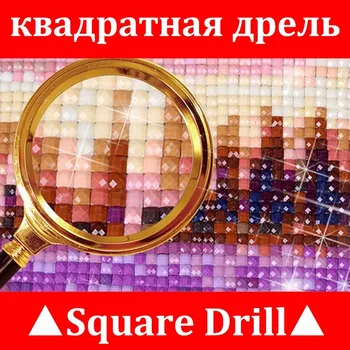 ZOOYA Fuld Square bor 5D DIY Diamant broderi Sidder kat Diamant Maleri Cross Stitch Rhinestone dekoration, Mosaik gave