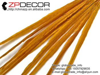 ZPDECOR 100 stykker/lot 50-55cm(20-22inch) Smuk Farvet Gyldne Ringneck Pheasant Tail Drama Fjer