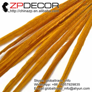 ZPDECOR 100 stykker/lot 50-55cm(20-22inch) Smuk Farvet Gyldne Ringneck Pheasant Tail Drama Fjer