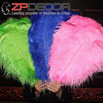ZPDECOR 50 stk/masse 50-55cm(20-22inch) Bedste Kvalitet Hånd Vælg Hvid Struds Større fjer Fjer til Karneval Dekoration